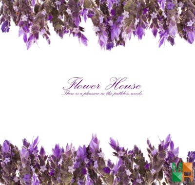 Tranh dán tường Hàn Quốc hoa lavender FW - 161